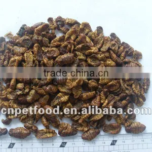 Dried Silkworm Fish Food thumbnail-1