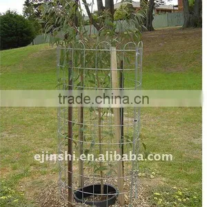 Wire Tree Guard thumbnail-1