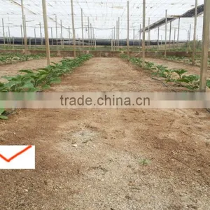 Chinese Biggest Supplier Agrolink Humate 70ha+15fa+14k2o Folibor Boron Fertilizers thumbnail-5