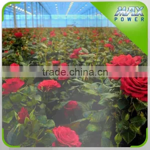 Water-saving Irrigation Tape and Kits for Flower Rose Garden thumbnail-1