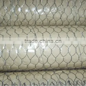 3/4" (20mmx20mm) Electro Galvanized Hexagonal Chicken Mesh thumbnail-1