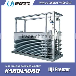 High Quality Mini IQF Freezer With Great Price thumbnail-4