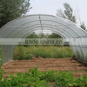 Light Weight Steel c Channel 40x60 for Greenhouse Frame Steel thumbnail-5