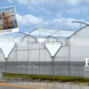 Prefabricated Steel Frame Clean Glass New Design Prefabricated Steel Frame Clean Glass New Design Sunrooms & Glass Houses thumbnail-4