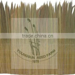 Fern Mat Fence thumbnail-1