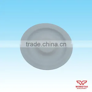 BML-10 PTFE Diaphragm Pump Flake thumbnail-1