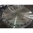 Max OD 3000mm ASME F316L Stainless Steel Discs 16 Inch Intergranular Corrosion Test and UT Test thumbnail-1