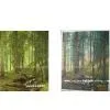 High Quality Oil Painting -landscape thumbnail-1