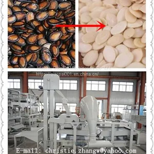 PUMPKIN SEEDS DEHULLING&SEPARATING EQUIPMENT thumbnail-1