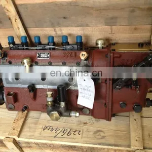 Shanghai Dongfeng 6135ACAF Injetion Pump P/N 229Y-000 C/w Governor Assy P/N 450A-000 thumbnail-1