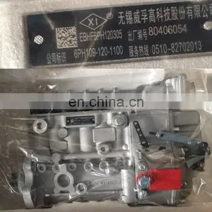Weifu Injection Pump EBHF6PH120305 6PH109-120-1100 5260150 thumbnail-1
