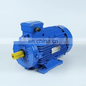Three-phase Induction Motor Stainless Steel Electric Motor 0.75kw-300kw thumbnail-6