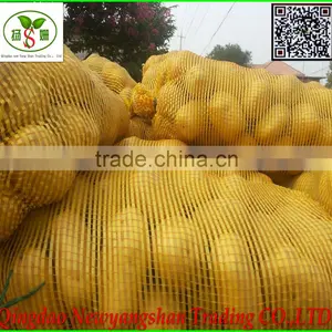 (CHINA) Red Dried Fresh Onion /Fresh Onion thumbnail-5