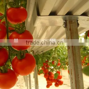 PVC Soilless Growing Troughing System thumbnail-5