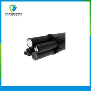 Online Ammonium With PH/ORP Sensor, Electrode Method, RS485 Output, Multi-parameter Sonde thumbnail-3