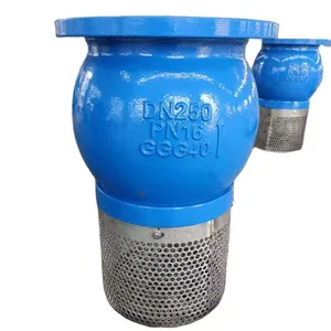 Ductile Cast Iron GGG40 Flange DN100 Foot Valve Check Valve SS304 Stainless Steel Strainer Flange Foot Valve thumbnail-5