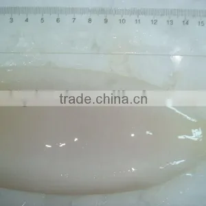 Frozen Squid Tube Fish thumbnail-1