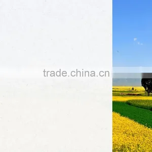 Building Glass Film Light Diffusing Window Film thumbnail-6