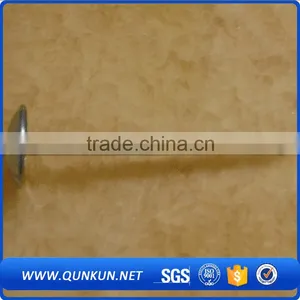 Galvanized Umbrella Coil Roofing Nails thumbnail-5