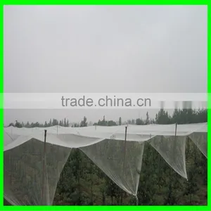 Anti Hail Net,hail Protection Net for Fruit Plantations Apple Tree thumbnail-3