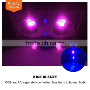 Hydroponic Grow Systems Dropship Succulent Plants COB LED Grow Light thumbnail-2