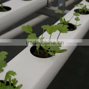 Efficient Polycarbonate Greenhouse for Hydroponic NFT Growing System for Tomato and Lettuce thumbnail-2
