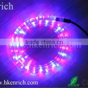 2 Wire ce Rohs Submersible Led Rope Light thumbnail-1