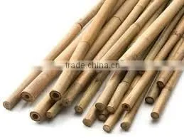 Dry Straight Farming Bamboo Poles for Sales thumbnail-1