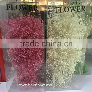 Names Of Flowers Artificial Flower China Wedding Gypsophila Factory Directly Sell thumbnail-2