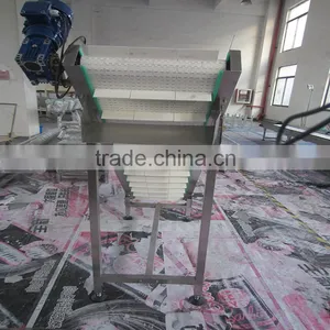 Food Belt Incline Conveyors for Different Industries thumbnail-4