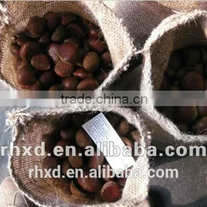 Chinese Raw Chestnuts thumbnail-5