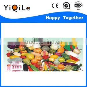 Kids Other Toys Vegetable Toys and Kids Plastic Toys thumbnail-4