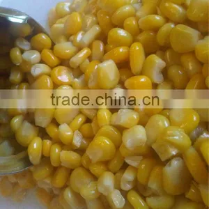 Thai Baby Corn in Brine 2015 Crop thumbnail-6