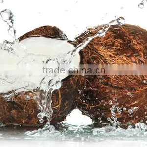 Bulk Sale for Semi Husked Coconuts thumbnail-1