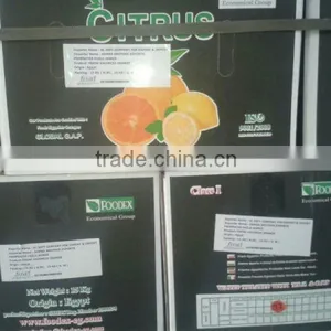 Navel Oranges (Seedless Orange) thumbnail-3