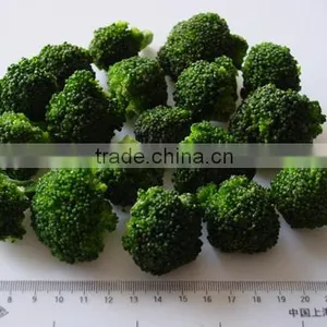 IQF Broccoli thumbnail-5