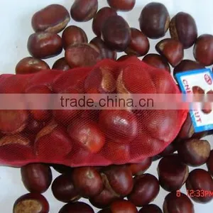 2011 Crop Chestnuts thumbnail-1