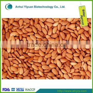 Organic Dry Bitter Apricot Kernel Price thumbnail-1