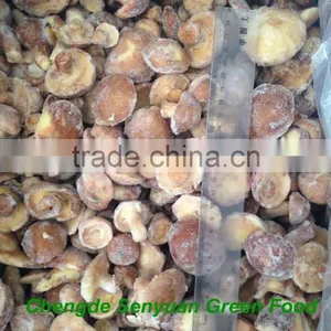 IQF Suillus Granulatus Mushroom 2016 New Crop thumbnail-1