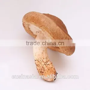 Whole Cap Shiitake Mushroom thumbnail-1
