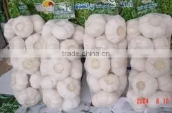 YUYUAN Brand Hot Sail Fresh Garlic Dehydrated Garlic Price thumbnail-2