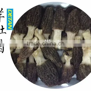 Wild Dried Morchella Vulgaris Grown in Mountain thumbnail-2