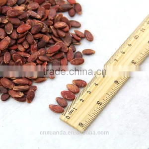 Sell Cheap Natural Style Melon Seeds With Different Size thumbnail-3