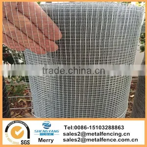 Hot Dipped Galvanized Weld Wire Mesh Fencing Chicken Coop Rabbit Cage Welded Wire Netting thumbnail-1
