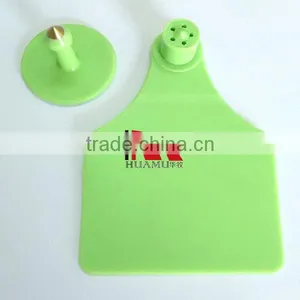 Green Separated Cattle Ear Tag Female Tag 78*56 mm Male Tag 30*30 mm thumbnail-1