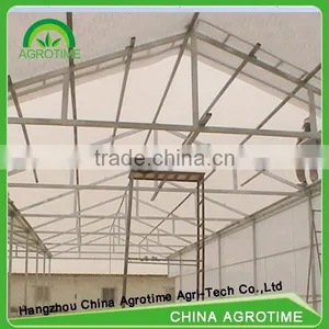 Multi-span Polycarbonate Plastic Sheet Greenhouse for Agriculture thumbnail-3
