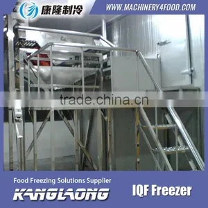 High Quality IQF Frozen Fruit Mango Machine With Good Price thumbnail-6