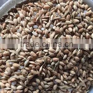 Grain Polisher thumbnail-3