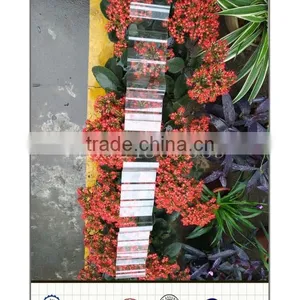 Transparent Clear Polycarbonate Roof Tiles thumbnail-3