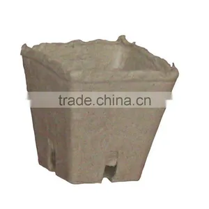 Paper Planter 100% Recycle Paper Planting Cup thumbnail-1